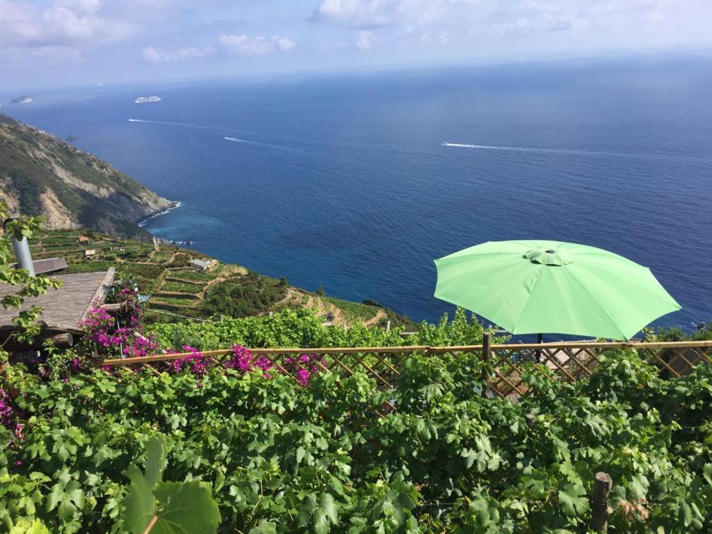 Refuge Uwabio Organic Vineyard Cinqueterre Βίλα Ριοματζόρε Εξωτερικό φωτογραφία