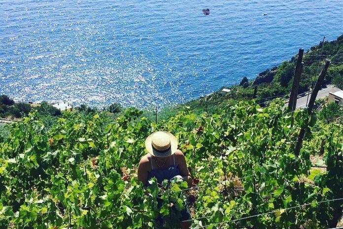 Refuge Uwabio Organic Vineyard Cinqueterre Βίλα Ριοματζόρε Εξωτερικό φωτογραφία