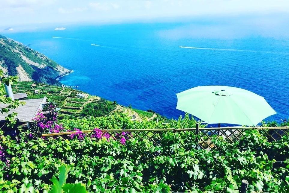 Refuge Uwabio Organic Vineyard Cinqueterre Βίλα Ριοματζόρε Εξωτερικό φωτογραφία