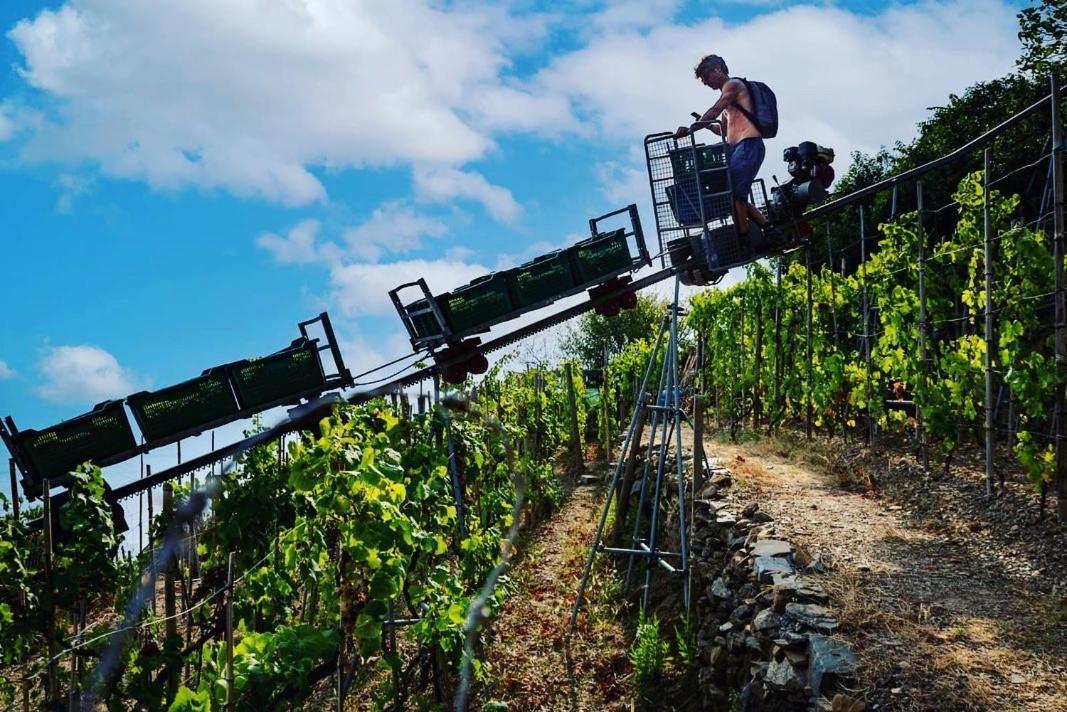Refuge Uwabio Organic Vineyard Cinqueterre Βίλα Ριοματζόρε Εξωτερικό φωτογραφία